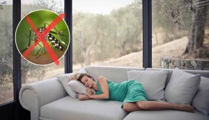repellente naturale contro le zanzare