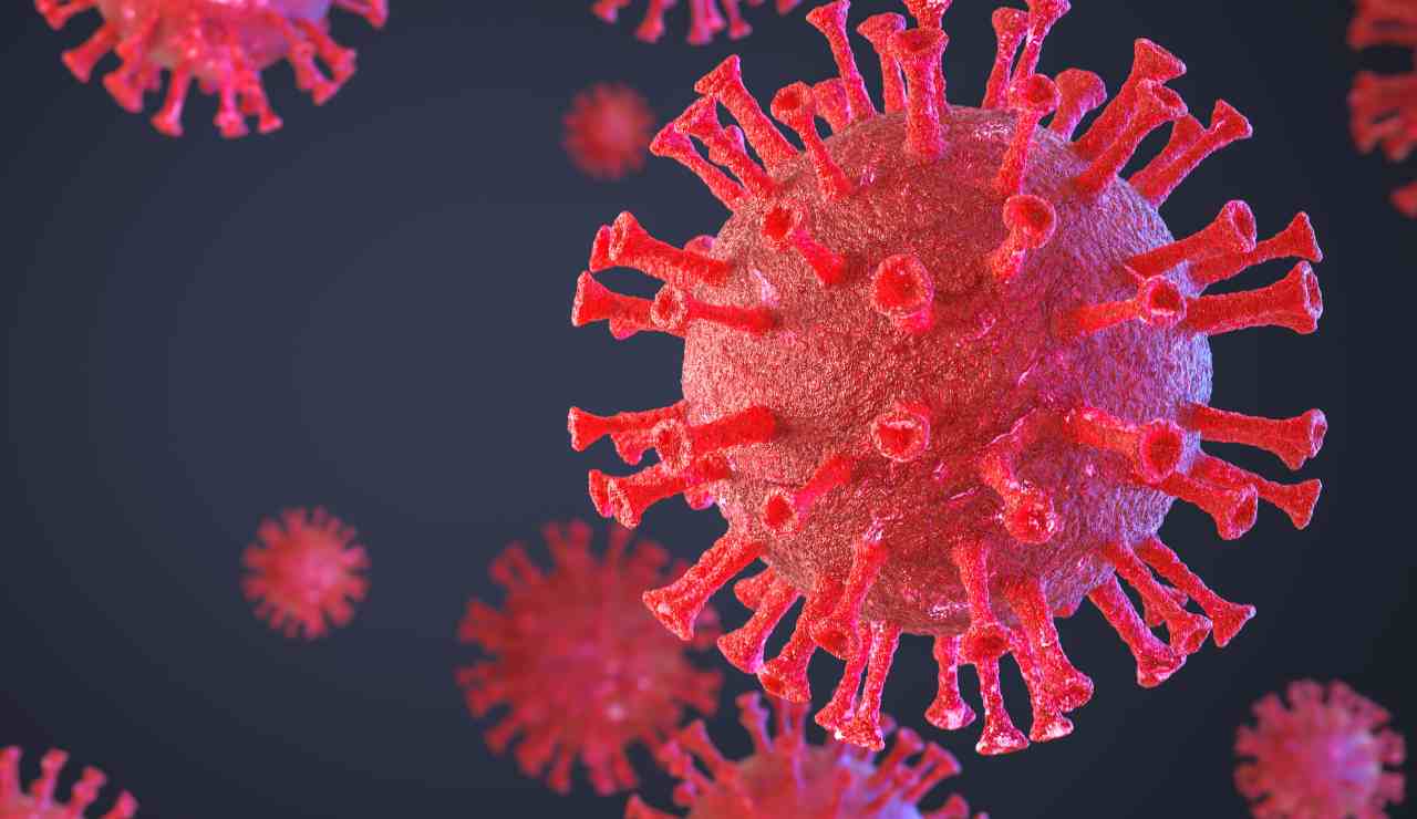 Passaggio dell'influenza tra specie